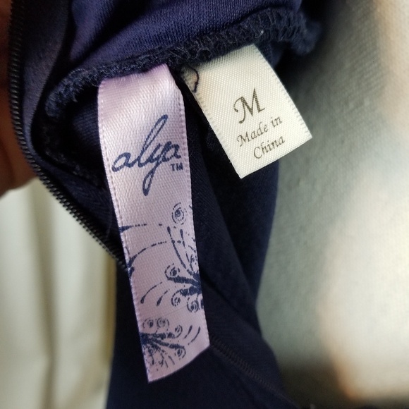 Francesca's Alya Navy Fit and Flare Lace Bib Dress - Picture 6 of 8